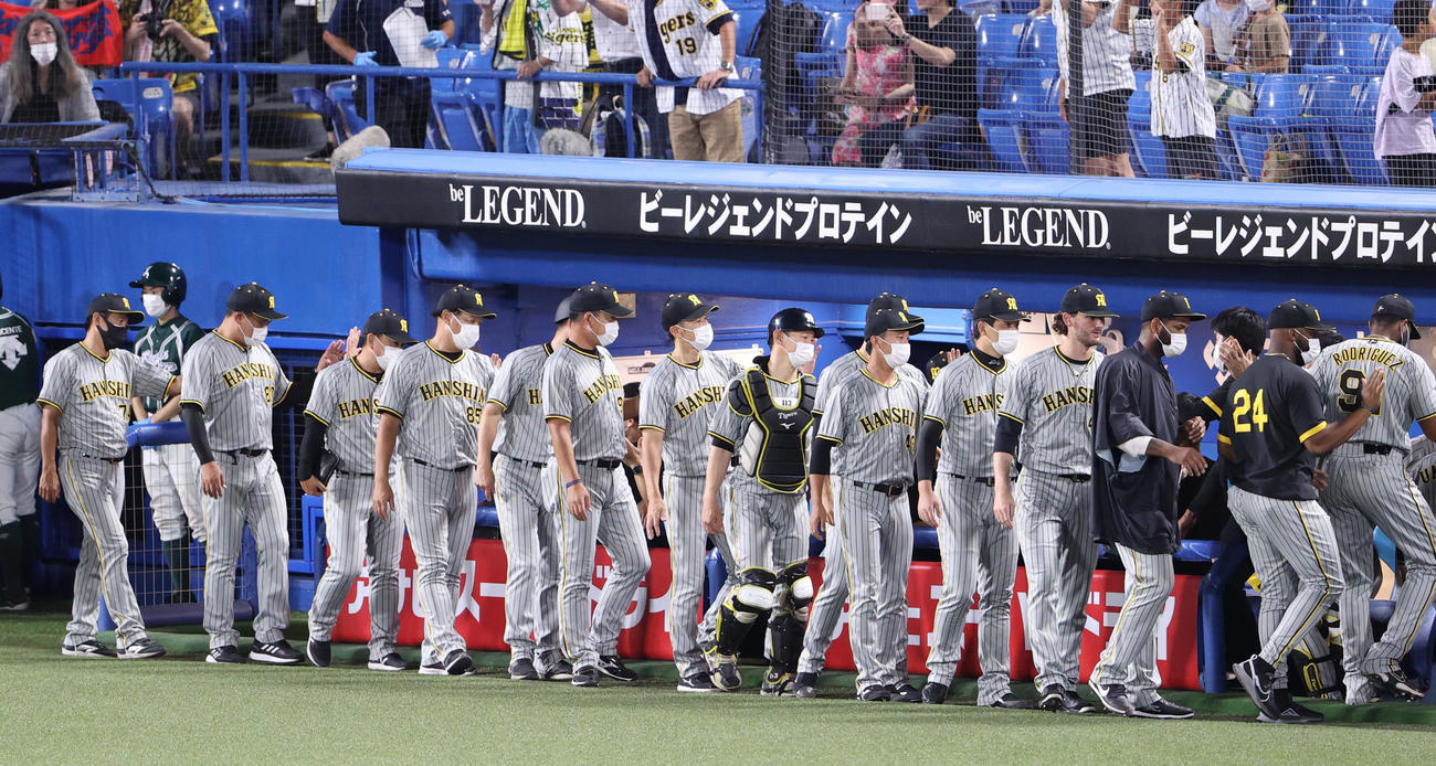 ヤクルト対阪神　試合後、喜びを分かち合う矢野監督（中央）と選手たち（撮影・狩俣裕三）