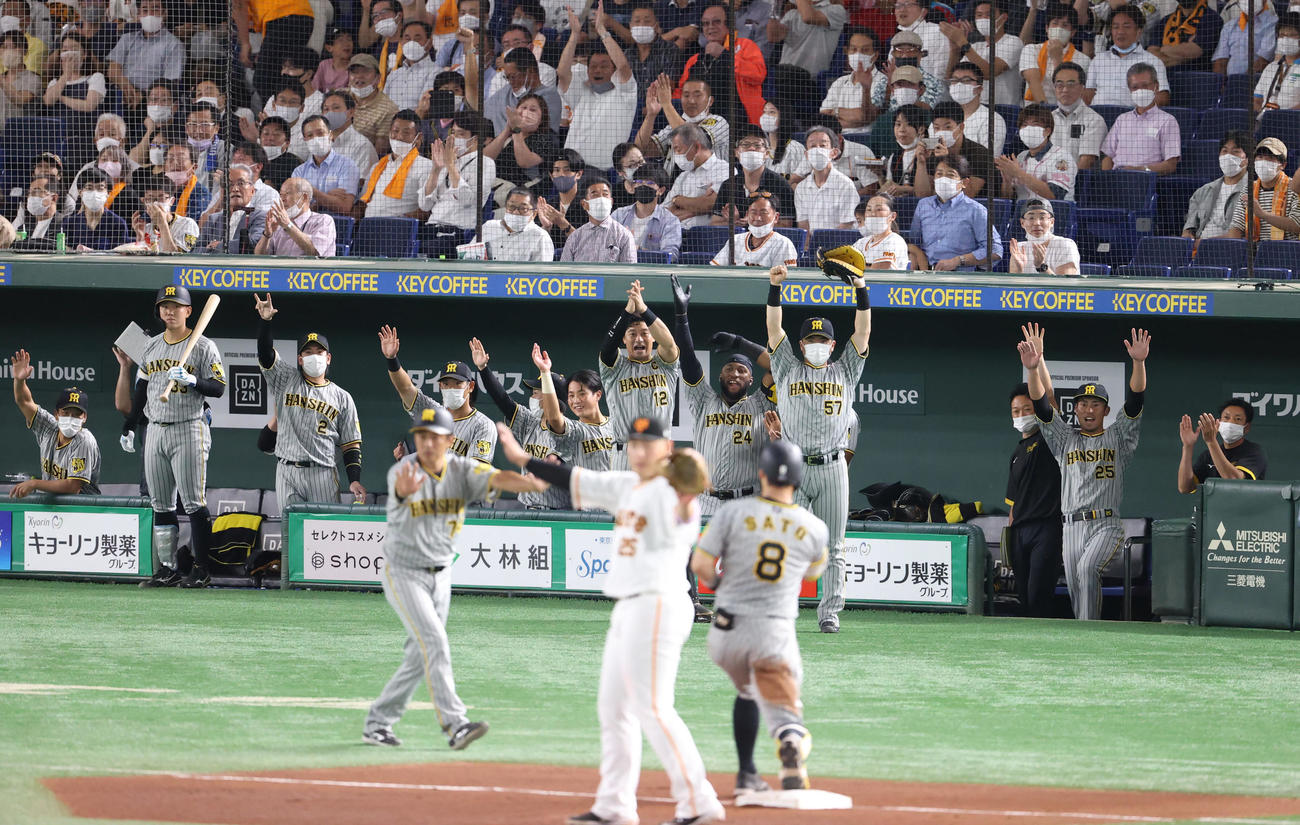 巨人対阪神　8回表阪神2死一、三塁、2点適時三塁打を放った佐藤輝（手前右）とベンチから喜び合う阪神の選手たち（撮影・狩俣裕三）