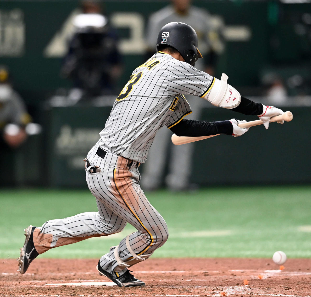 巨人対阪神　4回表阪神2死一、三塁、セーフティースクイズを決める島田（撮影・たえ見朱実）