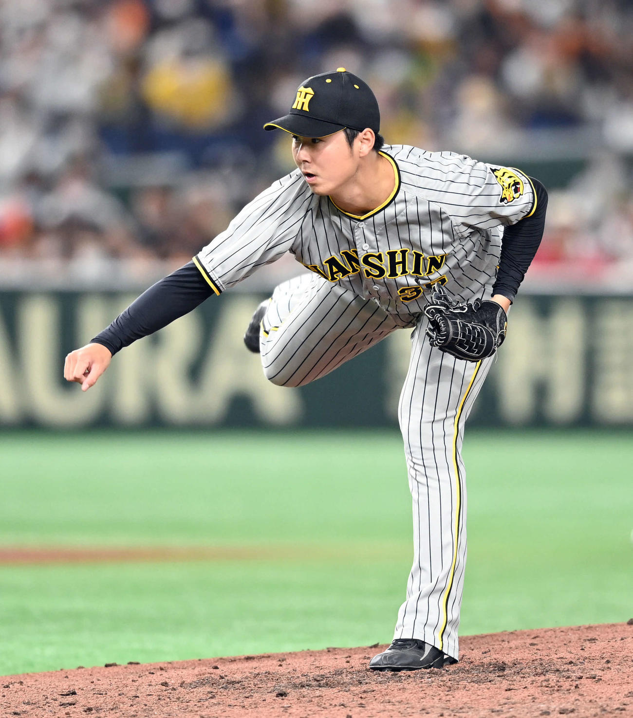 巨人対阪神　8回裏からマウンドに上がった阪神浜地撮影・たえ見朱実）
