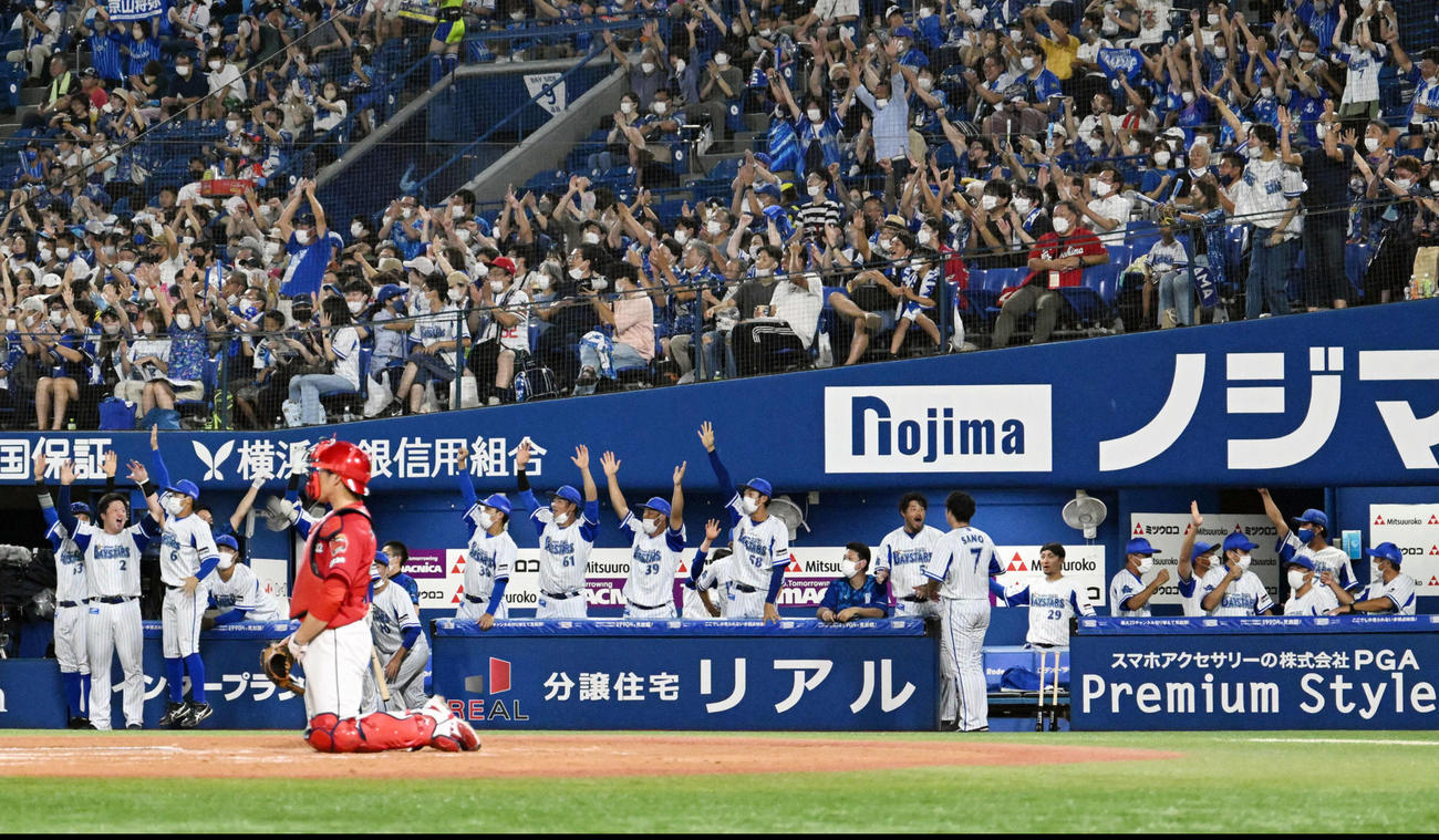 DeNA対広島　2回裏DeNA2死、京山のソロ本塁打に盛り上がるベンチの選手たち（撮影・滝沢徹郎）