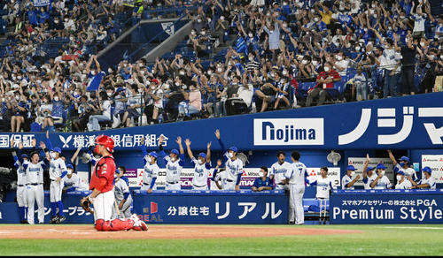 DeNA対広島　2回裏DeNA2死、京山のソロ本塁打に盛り上がるベンチの選手たち（撮影・滝沢徹郎）