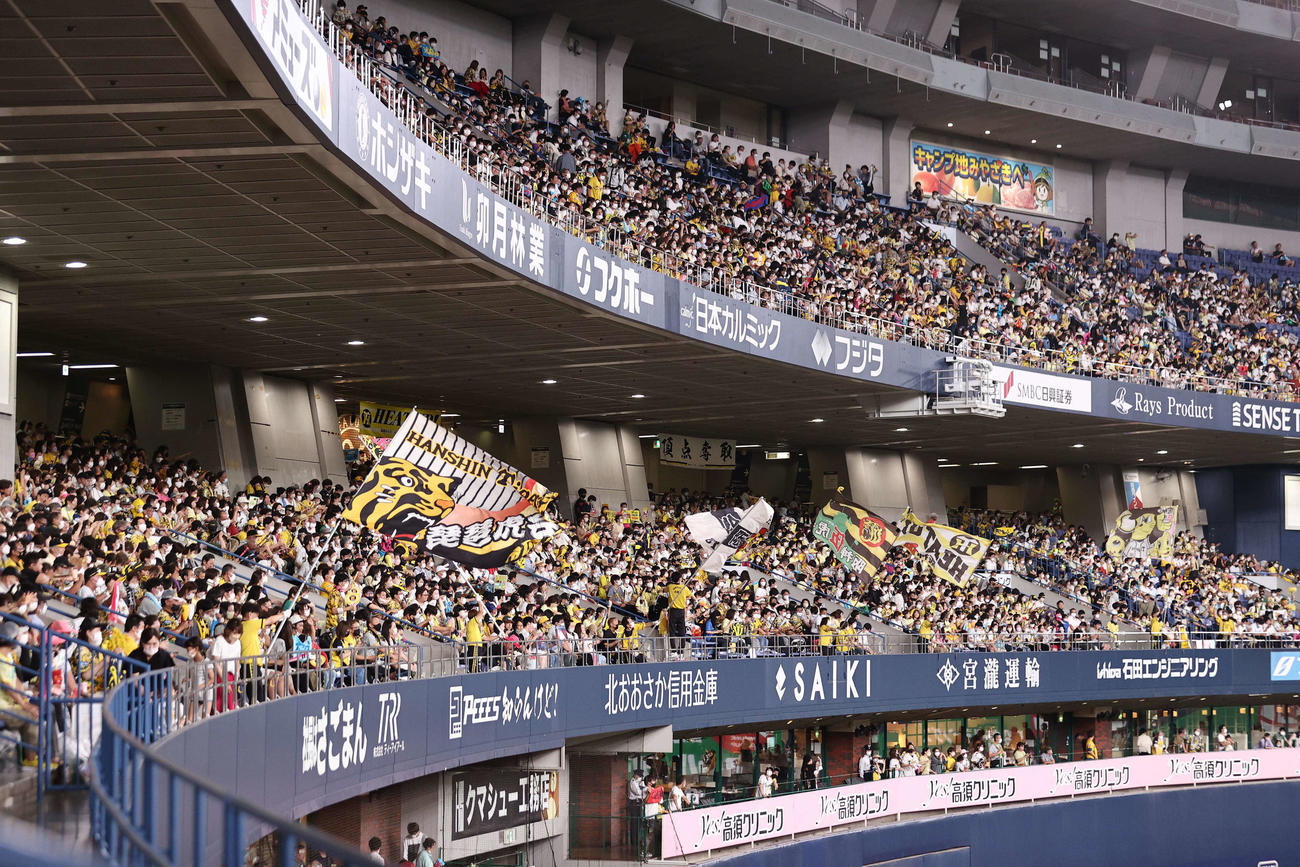 阪神対DeNA 7回、阪神を応援するファン（撮影・上田博志）