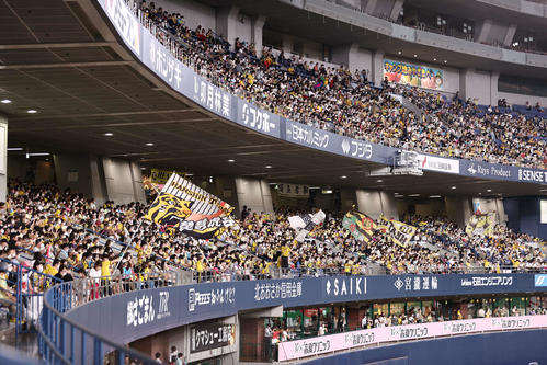 阪神対DeNA 7回、阪神を応援するファン（撮影・上田博志）