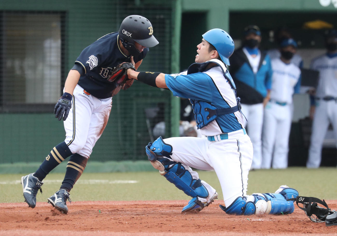 日本ハム対オリックス　3回表オリックス1死満塁、中川の右飛で本塁生還を試みるもタッチアウトになる福田（撮影・佐藤翔太）