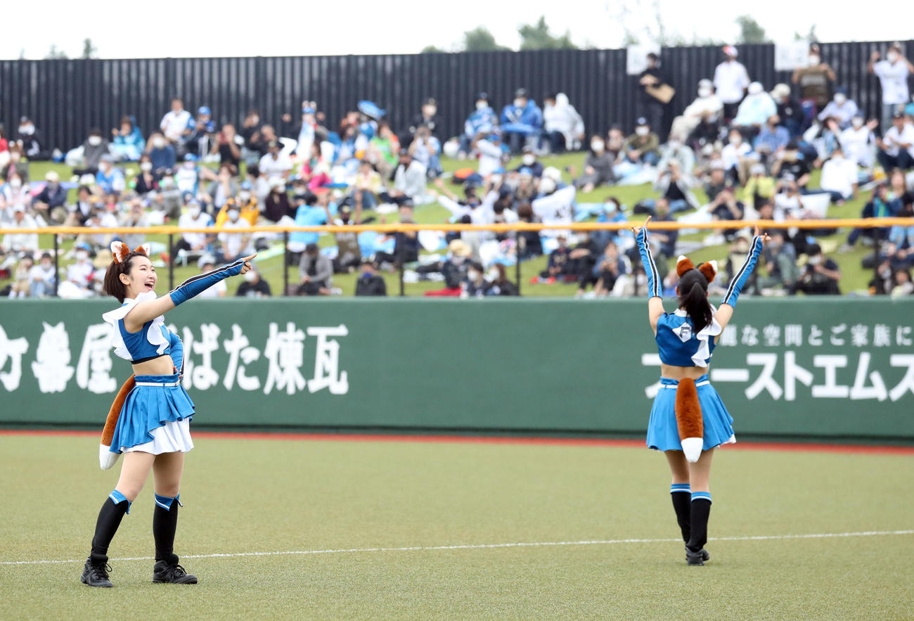 日本ハム対オリックス　「きつねダンス」を踊るファイターズガール（撮影・佐藤翔太）