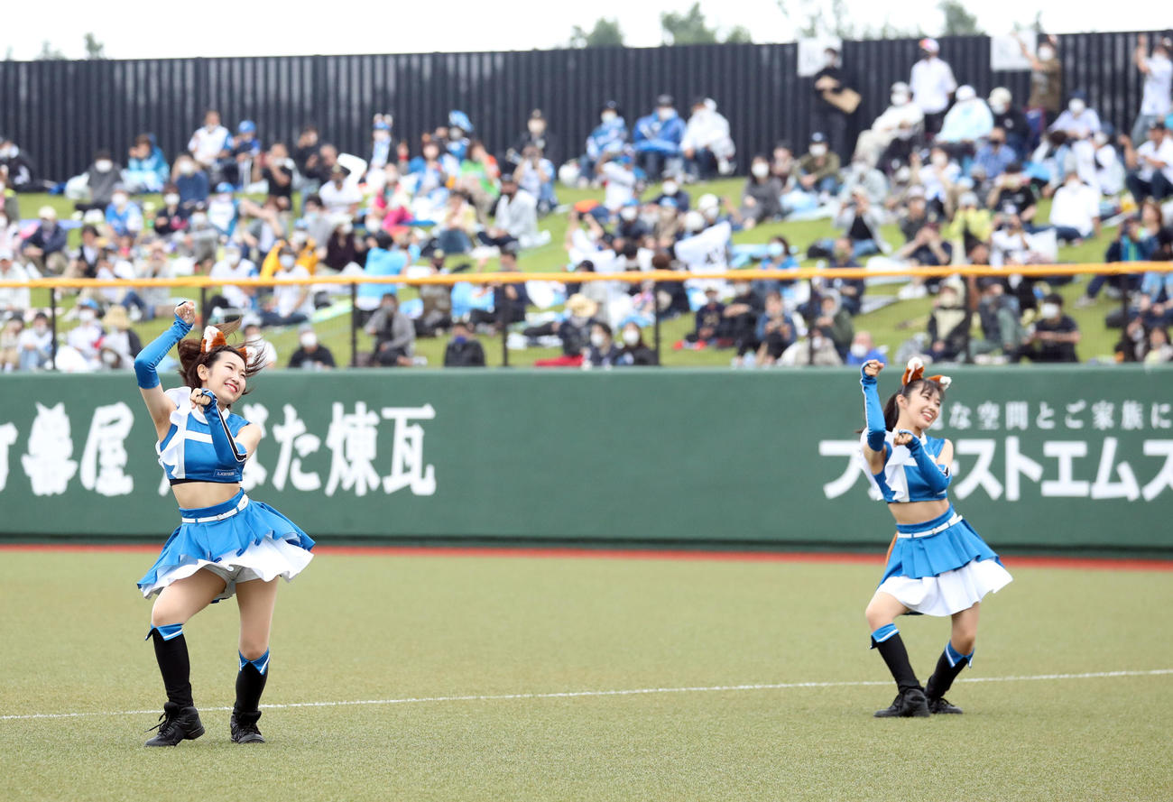 日本ハム対オリックス　「きつねダンス」を踊るファイターズガール（撮影・佐藤翔太）
