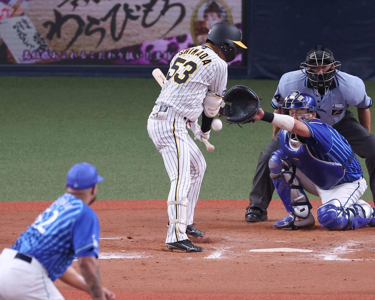 阪神対DeNA 8回裏阪神無死、島田はエスコバーから死球を受ける（撮影・上田博志）