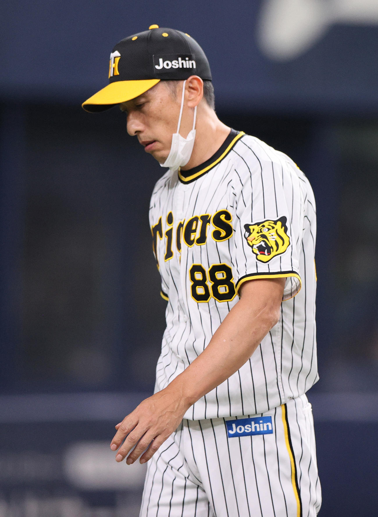 阪神対DeNA 4回裏阪神2死満塁、矢野監督（手前）はロハス・ジュニアアを代打に送りベンチへ戻る（撮影・上山淳一）