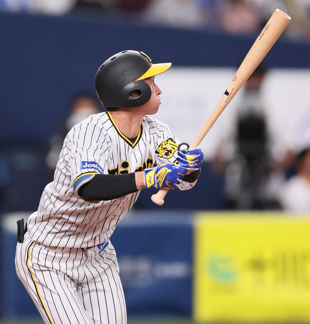 阪神対DeNA 1回裏阪神2死、近本は左飛に倒れる（撮影・上山淳一）