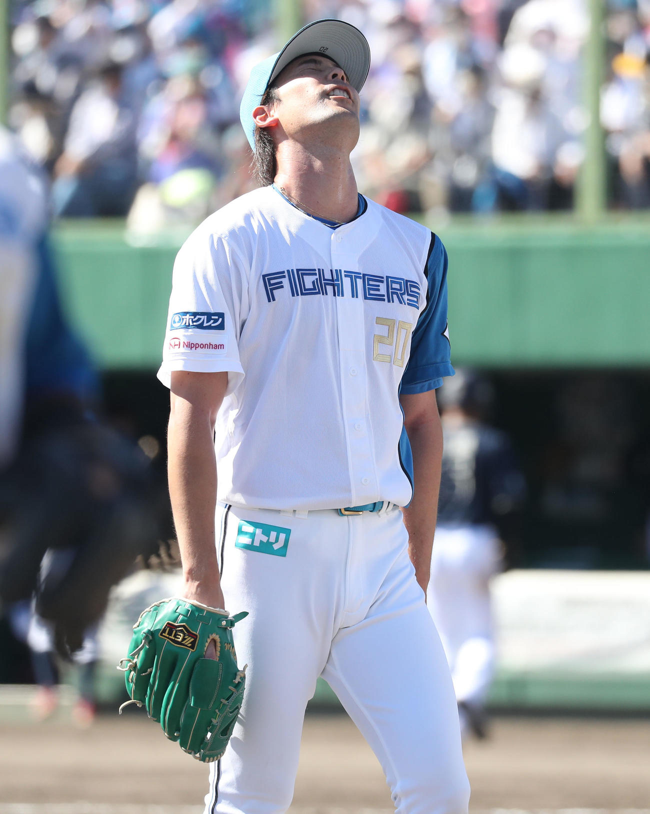 日本ハム対オリックス　先制を許し天を仰ぐ上原（撮影・佐藤翔太）