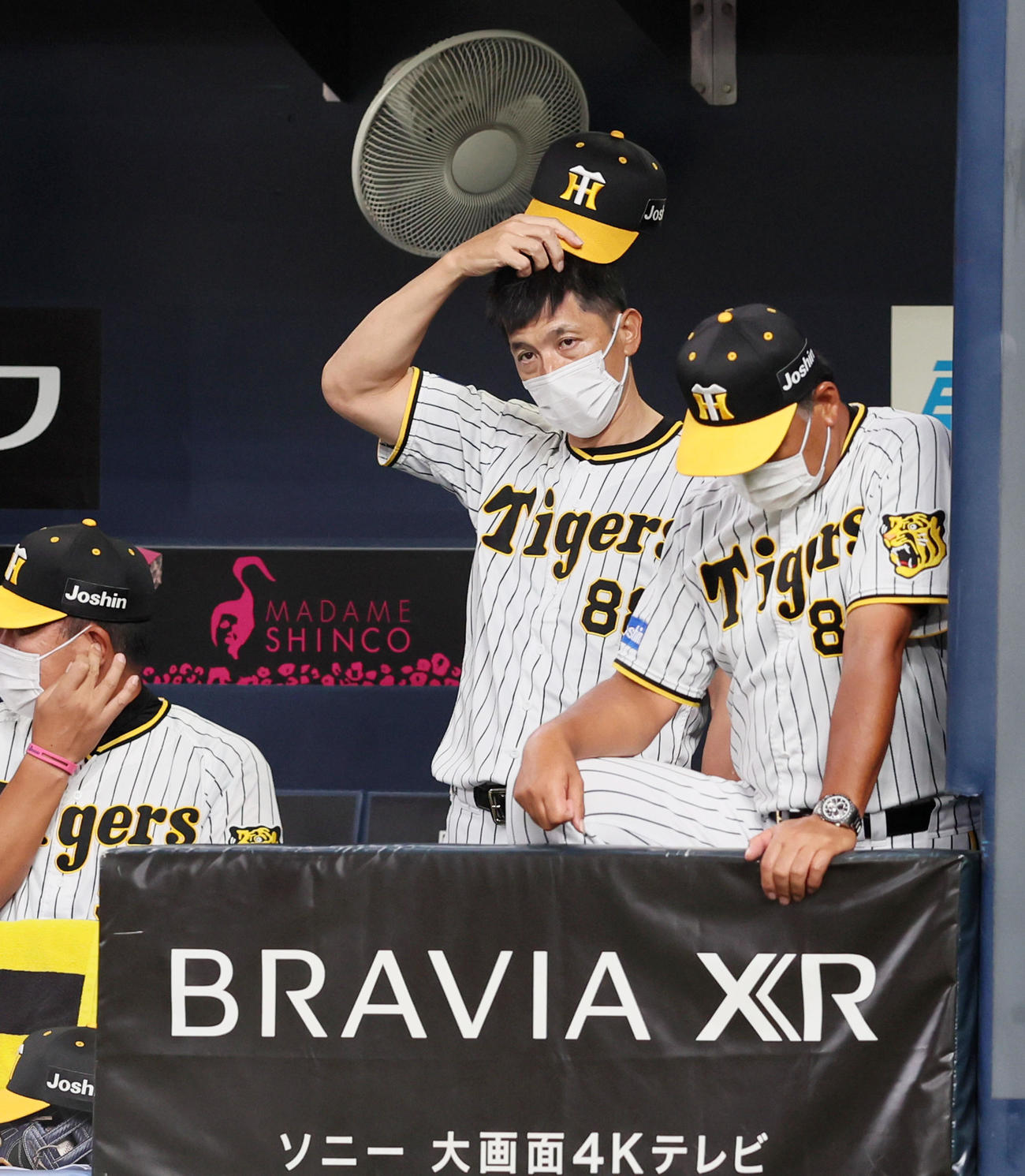 阪神対DeNA 3回裏、ベンチで帽子を取る矢野監督（撮影・加藤哉）