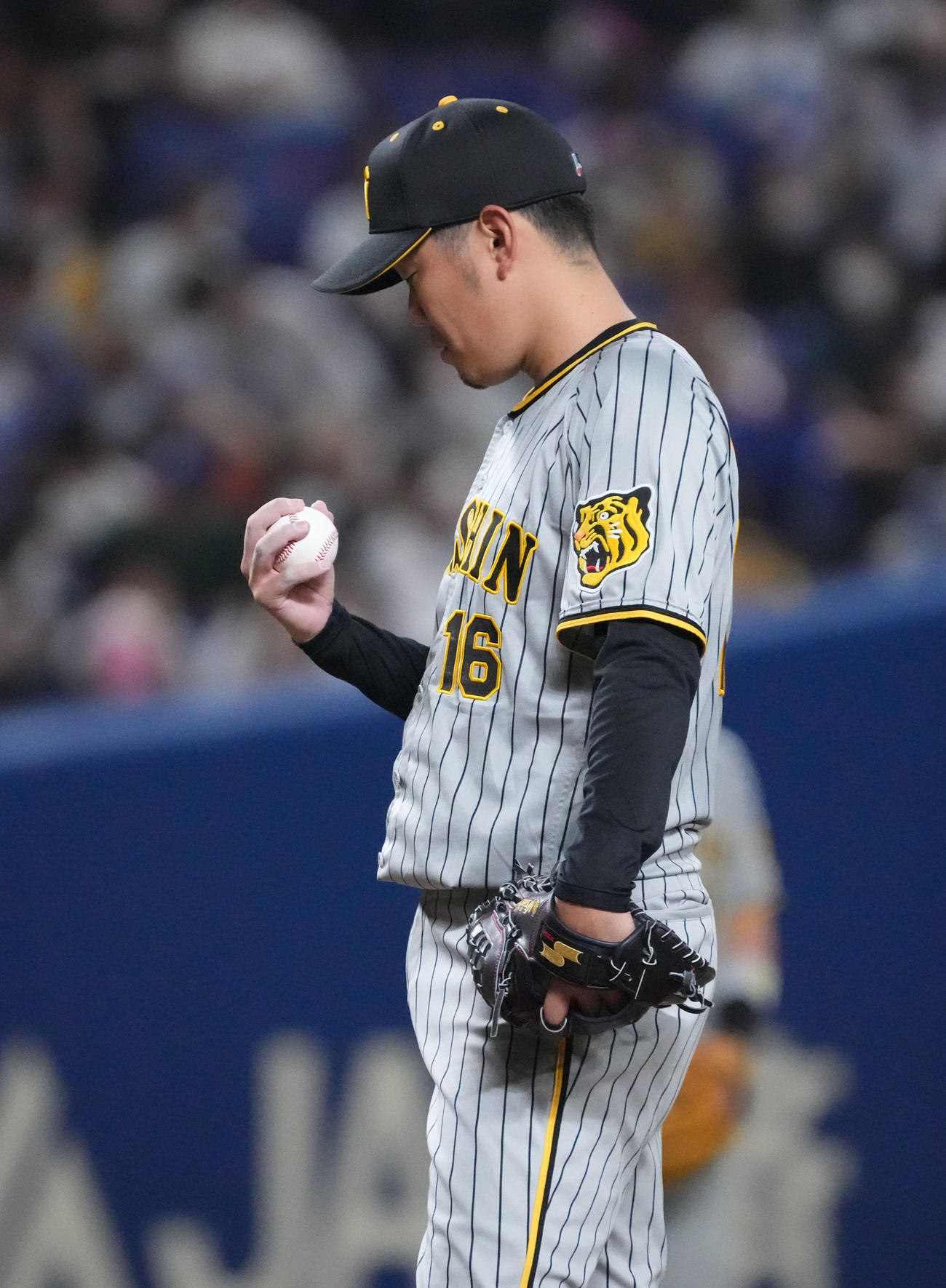 中日対阪神　4回裏中日攻撃開始前、投球練習をやめて右手の指を見つめる西勇（撮影・森本幸一）