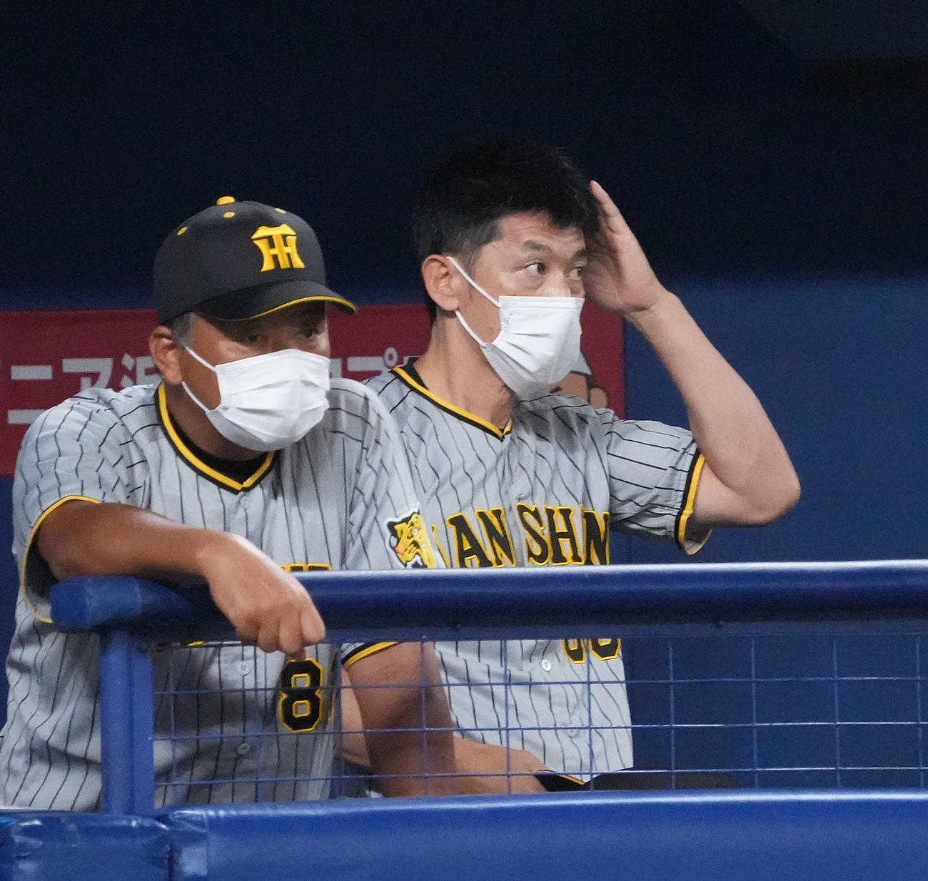 中日対阪神　1回表、ベンチで頭をかく矢野監督（撮影・森本幸一）
