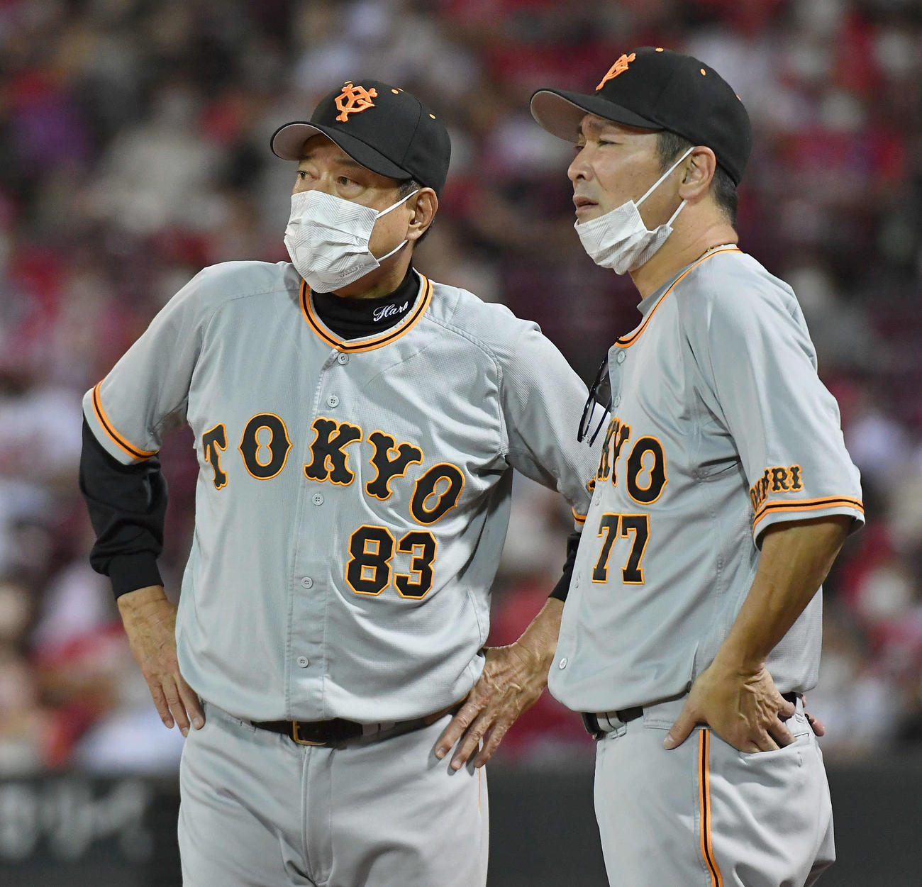 広島対巨人　8回表巨人2死満塁、岡本和の左前2点適時打の走塁中に中田が足を痛め、厳しい表情で話し合う原監督（左）と元木ヘッドコーチ（撮影・岩下翔太）