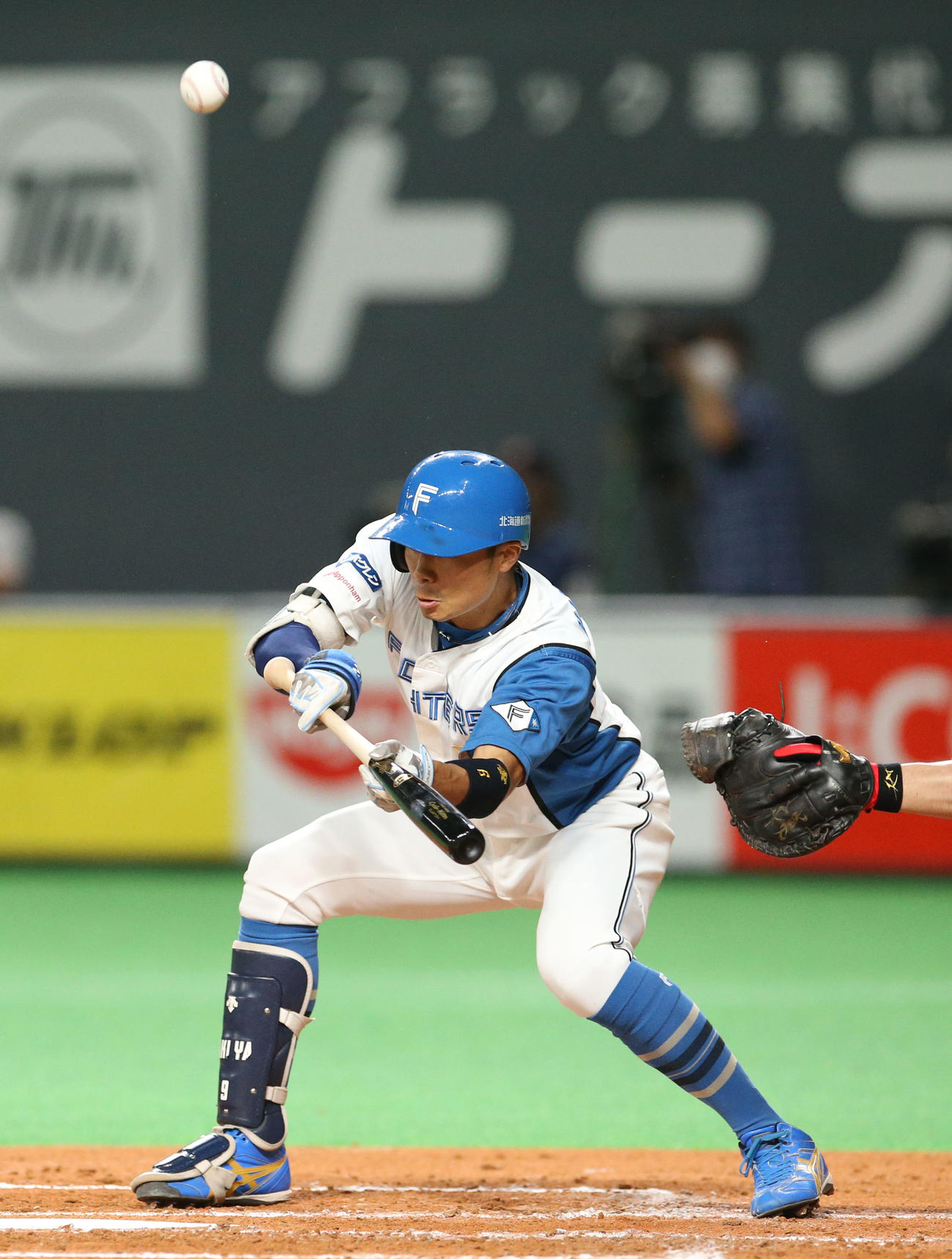 日本ハム対ソフトバンク　3回裏日本ハム無死一塁、中島はバントを失敗する（撮影・佐藤翔太）