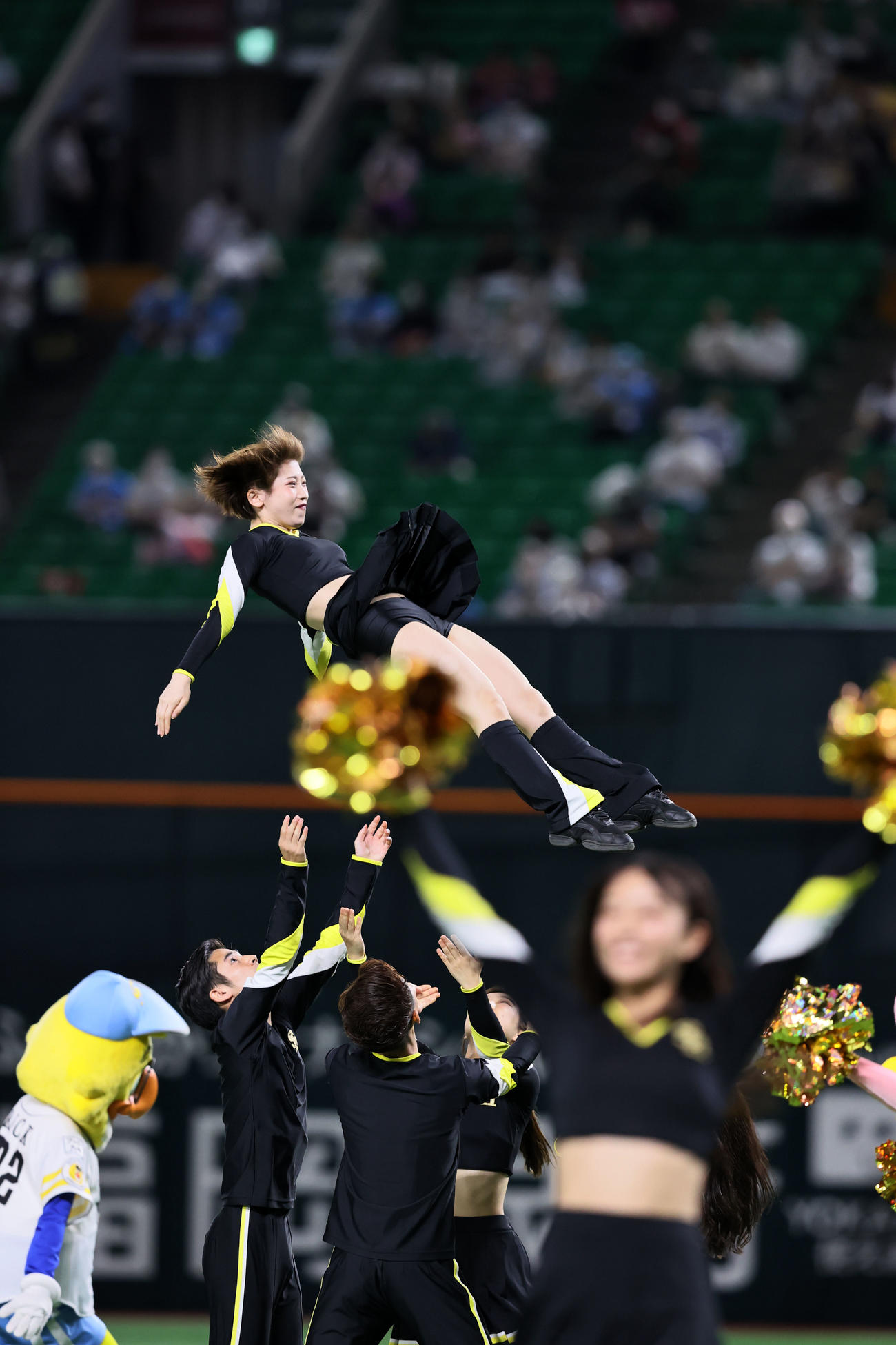 球場を盛り上げるハニーズ