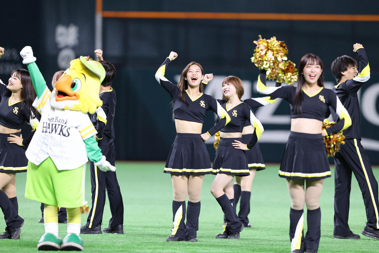球場を盛り上げるハニーズ