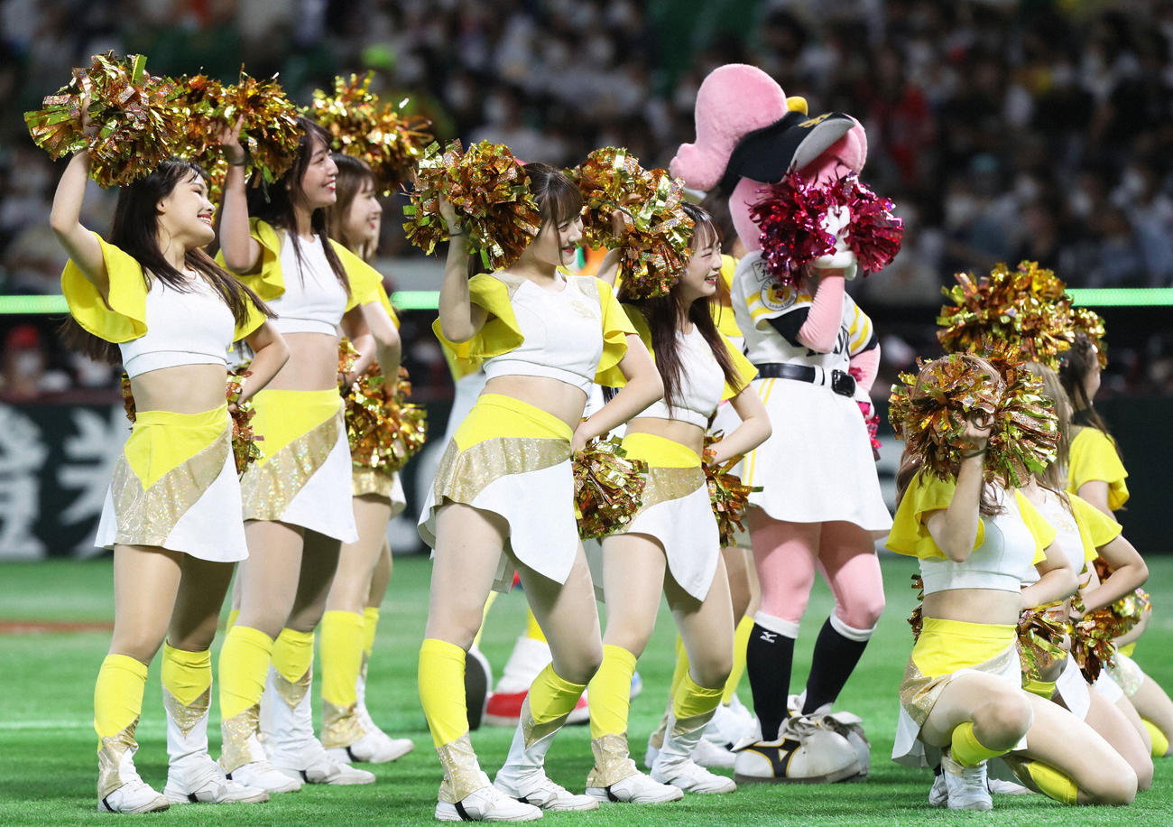 球場を盛り上げるハニーズ