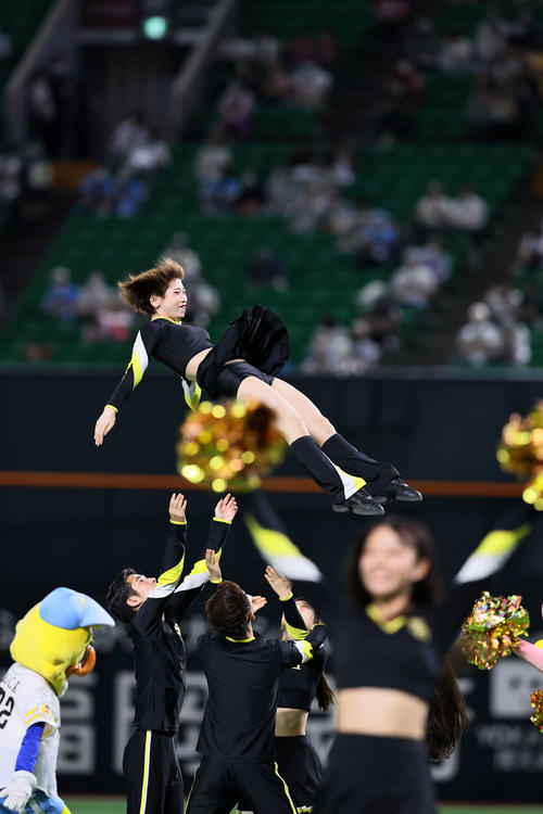 球場を盛り上げるハニーズ