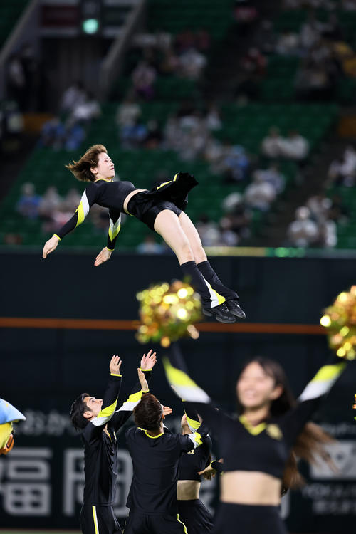球場を盛り上げるハニーズ