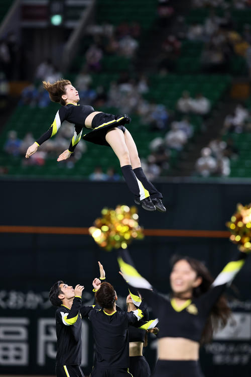 球場を盛り上げるハニーズ