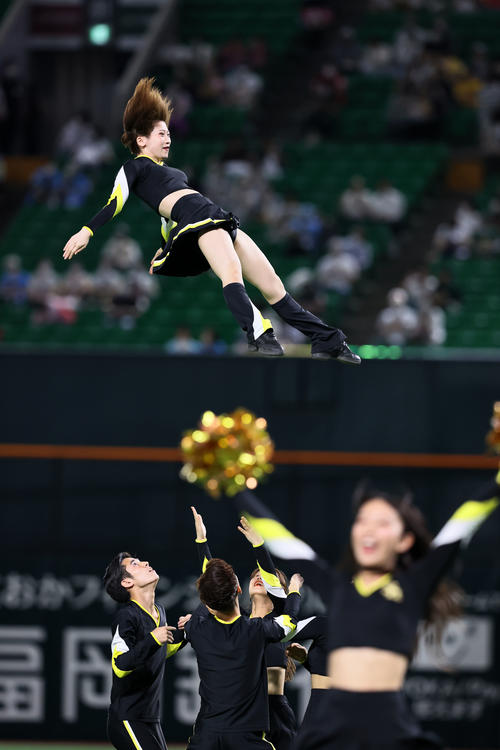 球場を盛り上げるハニーズ