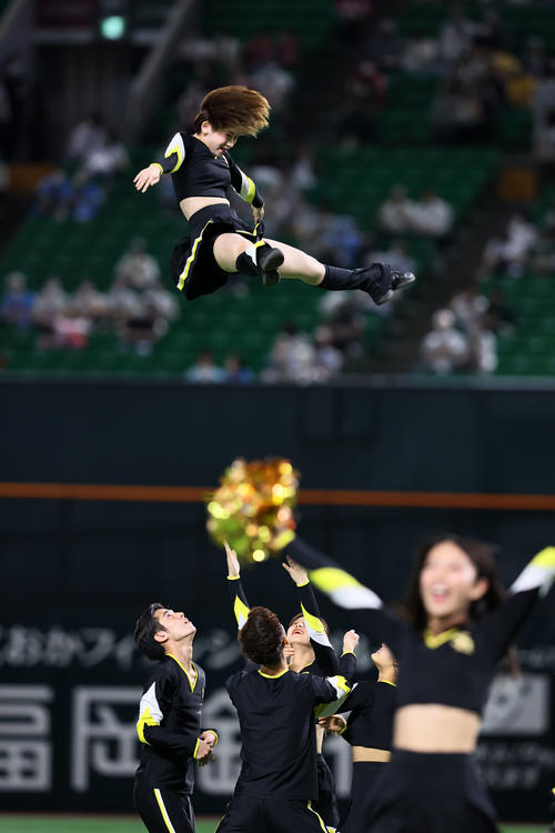 球場を盛り上げるハニーズ
