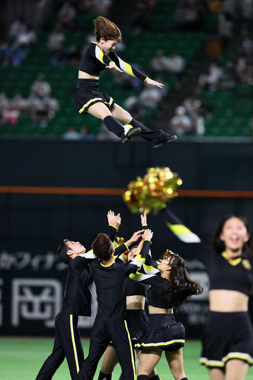 球場を盛り上げるハニーズ