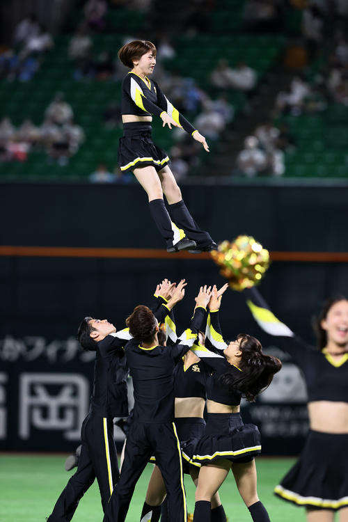 球場を盛り上げるハニーズ