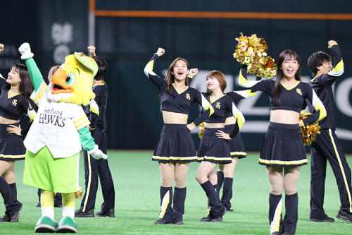 球場を盛り上げるハニーズ
