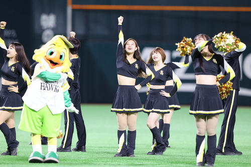 球場を盛り上げるハニーズ