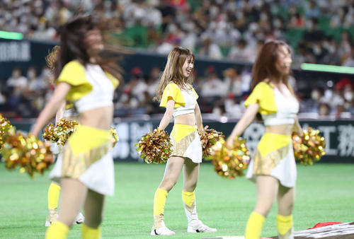 球場を盛り上げるハニーズ