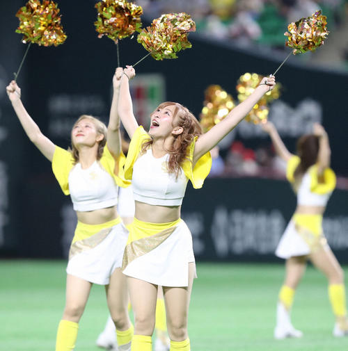 球場を盛り上げるハニーズ