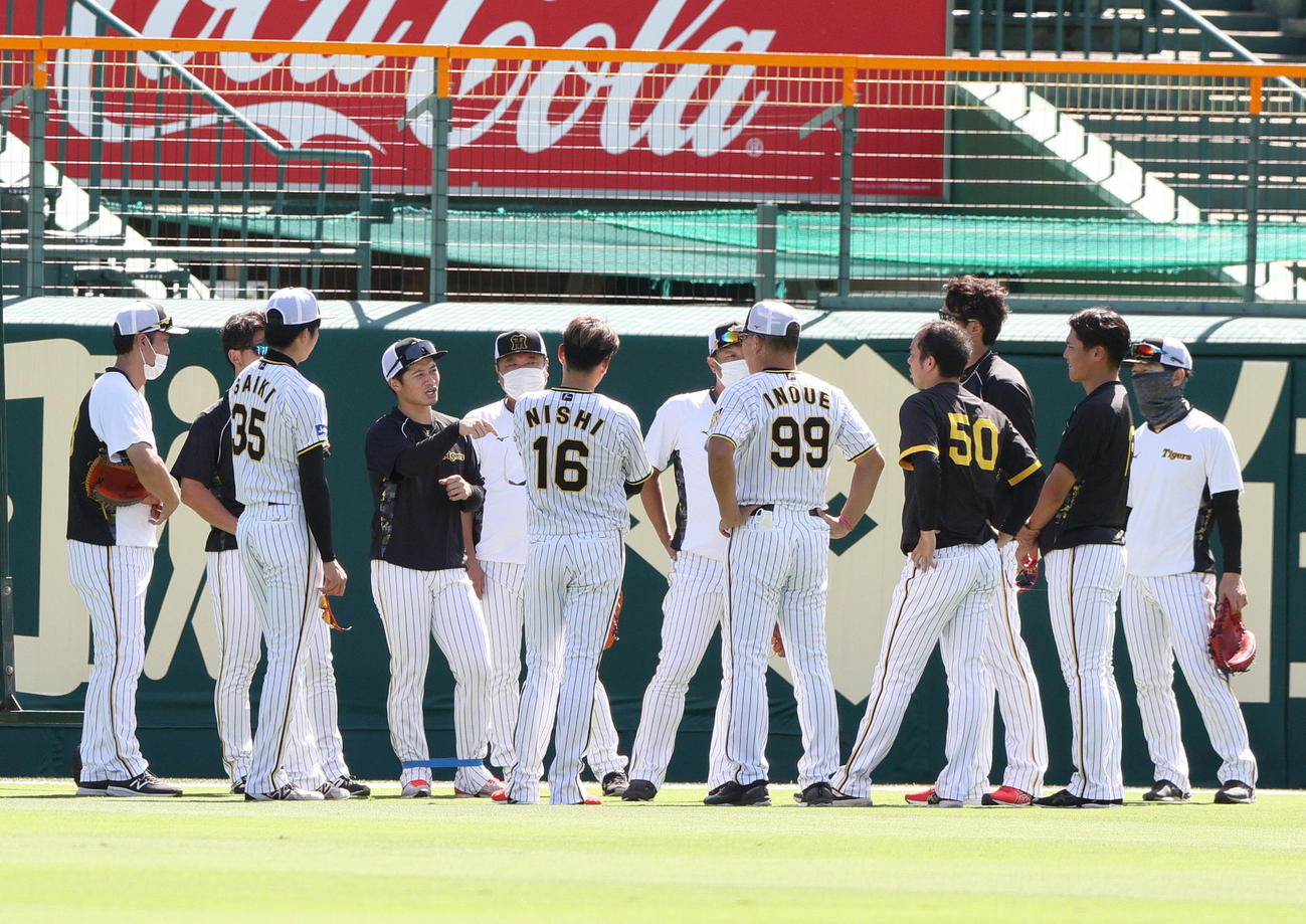 阪神対広島　試合前の練習で阪神坂本（左から4人目）は投手陣と話し込む（撮影・上山淳一）