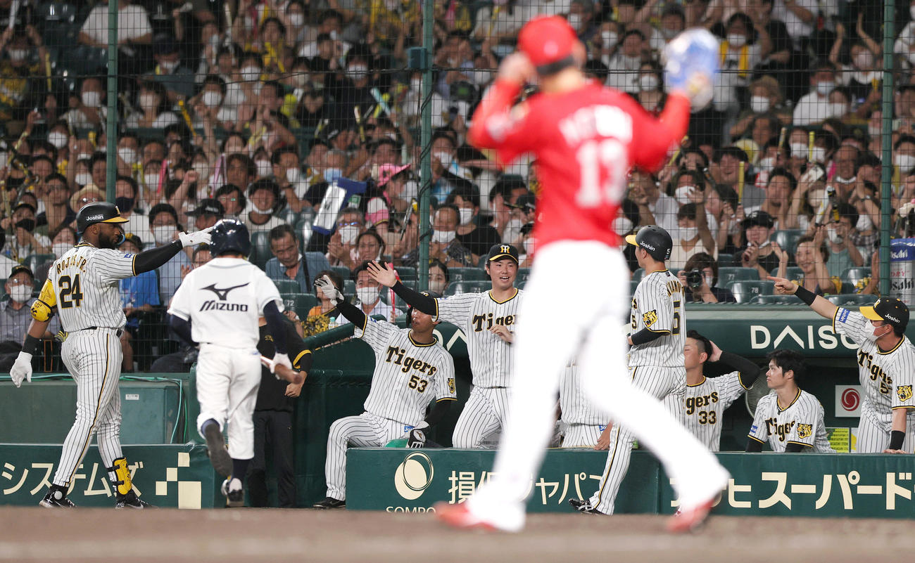 阪神対広島　7回裏阪神1死満塁、ロハス・ジュニア（左）の右犠飛で近本（右から4人目）が生還し盛り上がる阪神の選手ら（撮影・上山淳一）