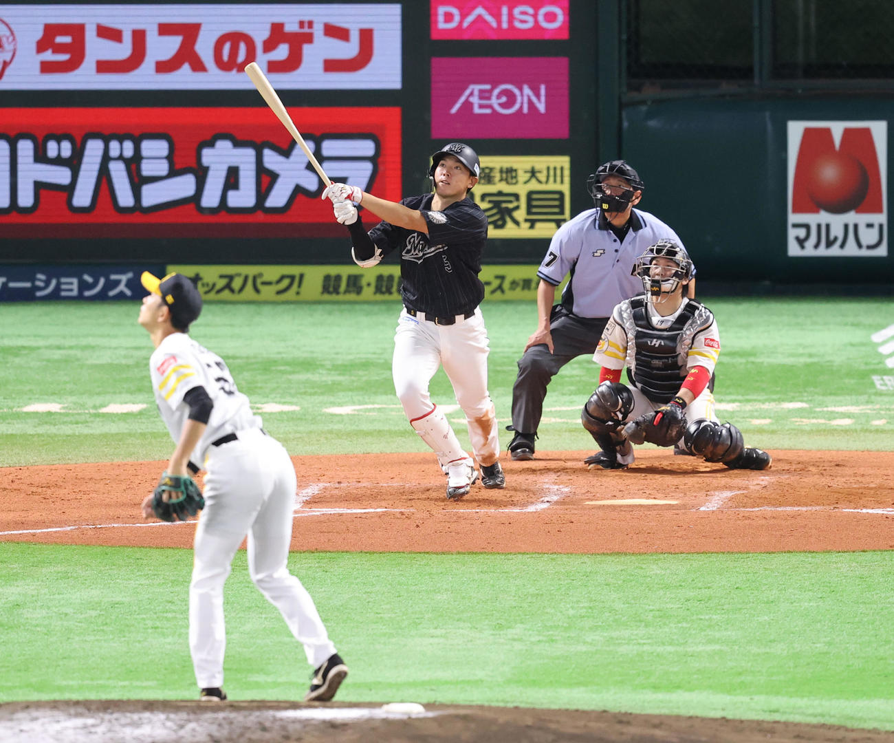 ソフトバンク対ロッテ　8回表ロッテ無死、安田は右越えに本塁打を放つ（撮影・梅根麻紀）