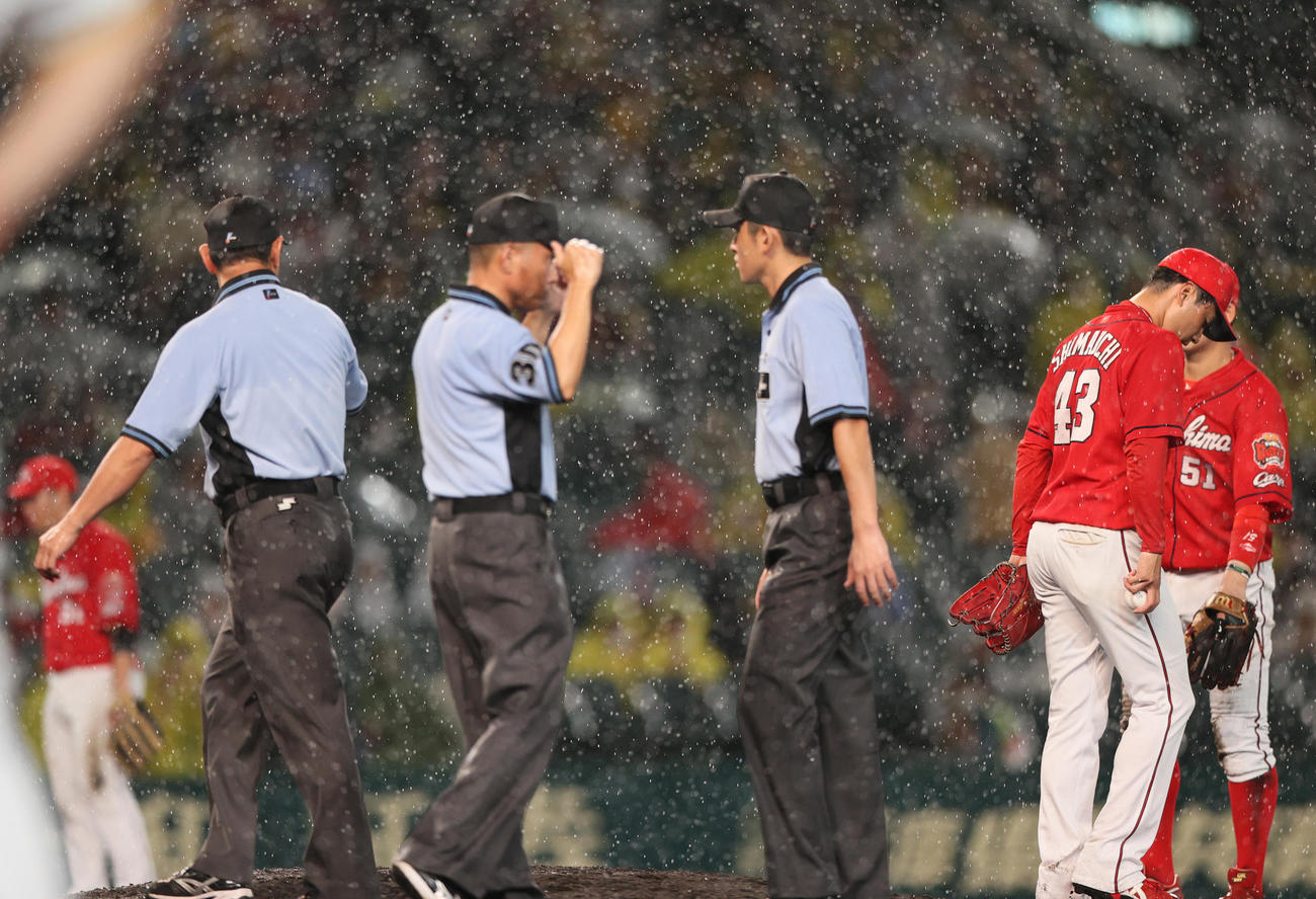 阪神対広島　6回途中、雨で中断する（撮影・上山淳一）