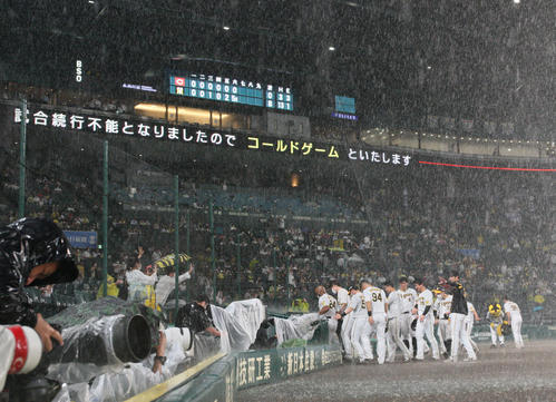 阪神対広島　6回降雨コールドで広島に勝利しスタンドのファンにあいさつする阪神ナイン（撮影・上山淳一）