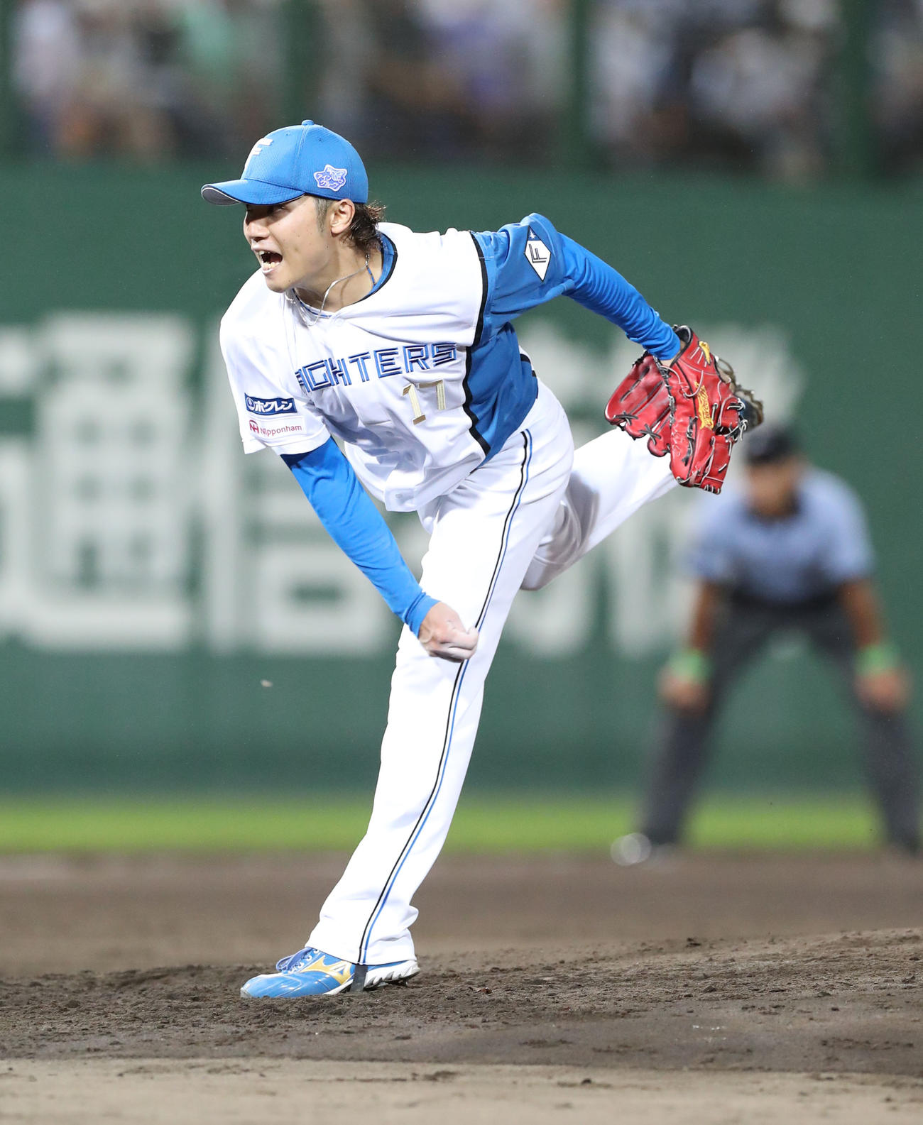 日本ハム伊藤大海（2022年8月2日撮影）