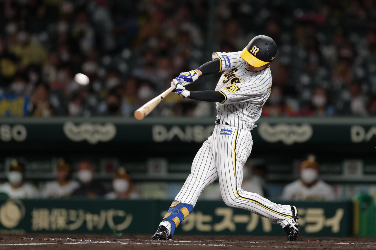 阪神対広島　5回裏阪神1死、右越えソロ本塁打を放つ近本（撮影・前田充）