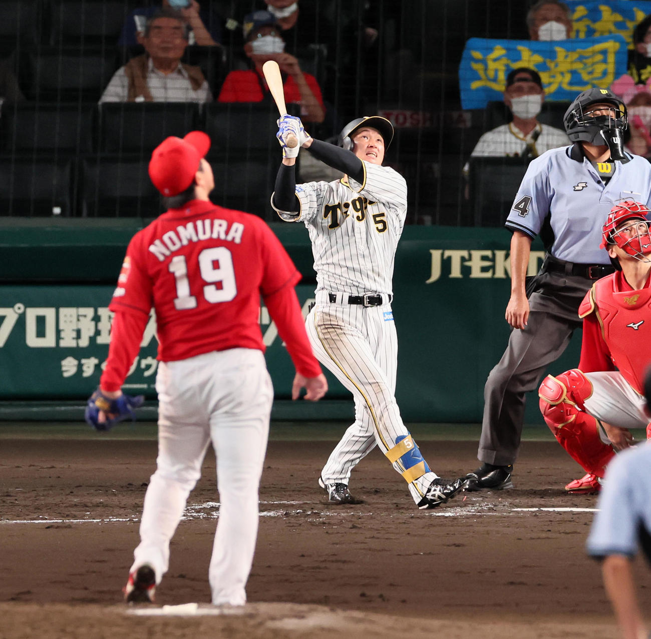 阪神対広島　3回裏阪神1死一塁、近本は左前打を放つ。投手は野村（撮影・加藤哉）