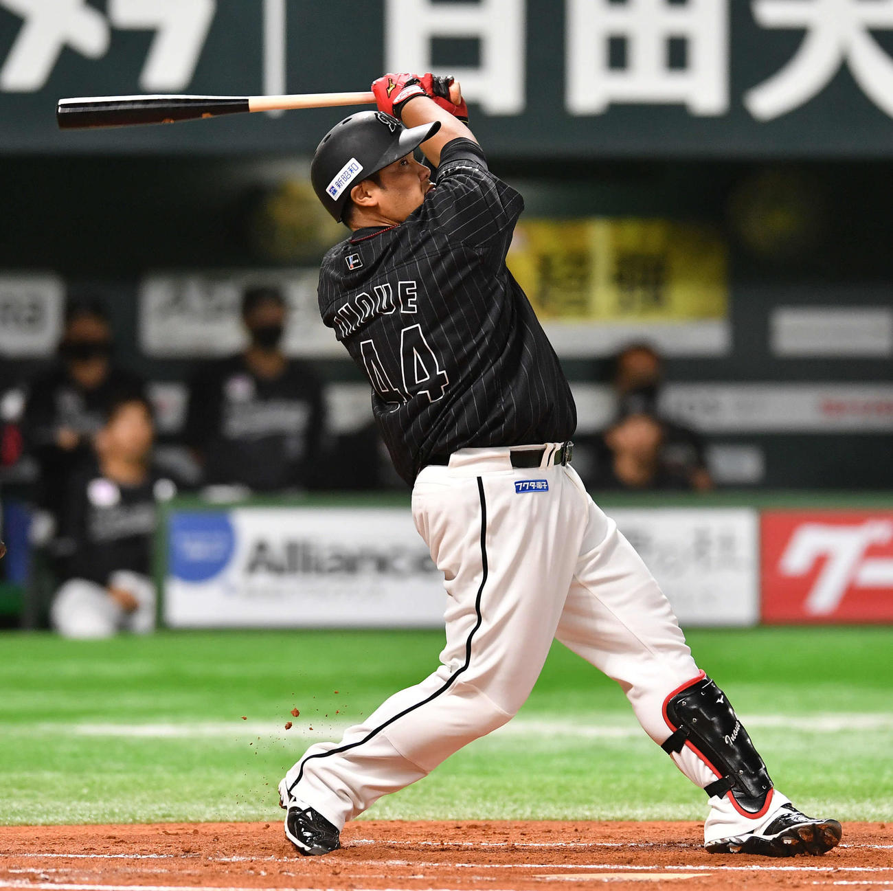 ソフトバンク対ロッテ　2回表ロッテ1死、井上は先制の右越え本塁打を放つ（撮影・岩下翔太）