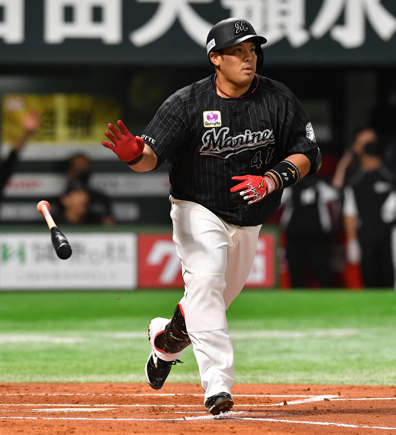 ソフトバンク対ロッテ　2回表ロッテ1死、井上は先制の右越え本塁打を放つ（撮影・岩下翔太）