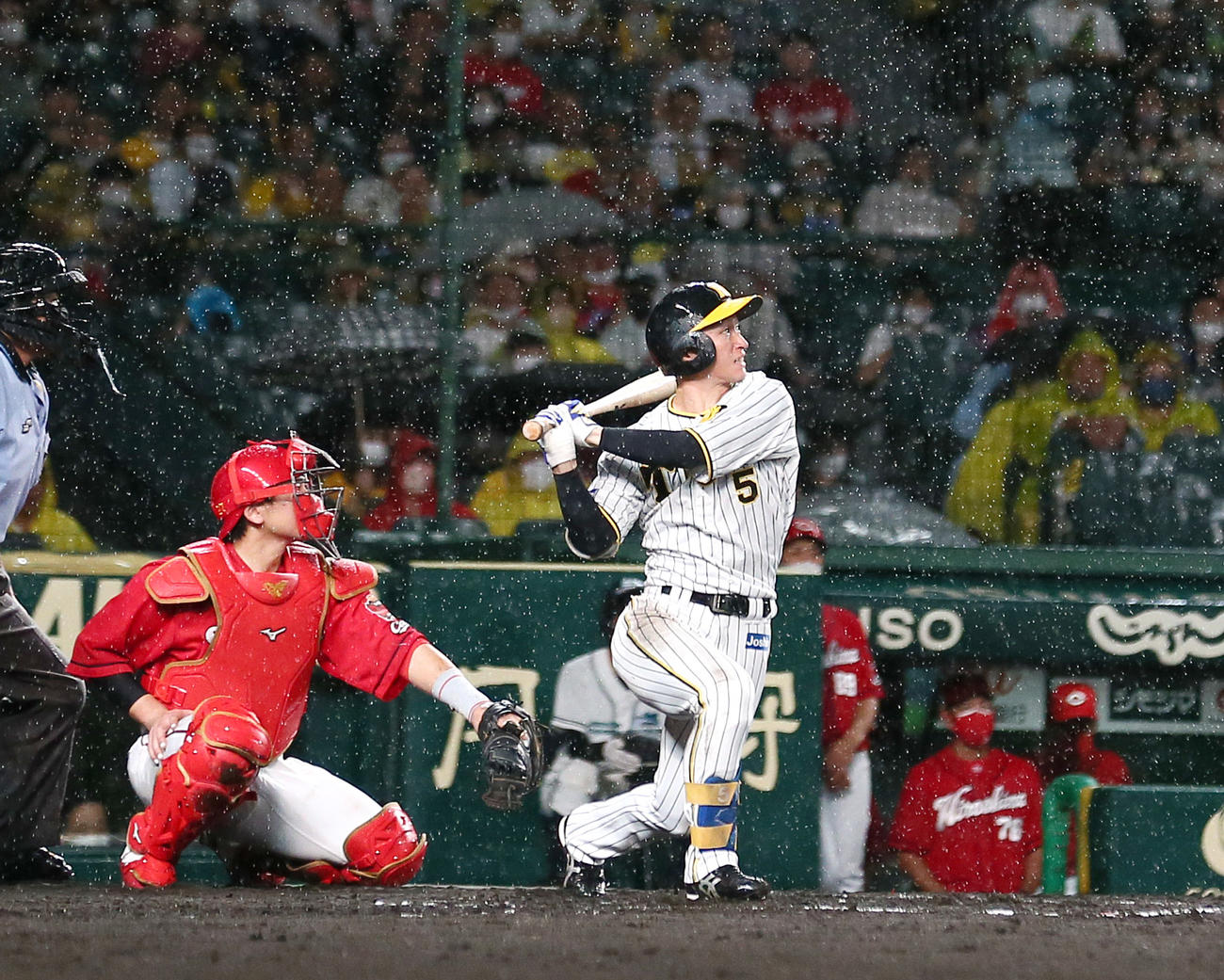 阪神対広島　6回裏阪神1死一、二塁、近本は遊内野安打を放つ（撮影・上山淳一）
