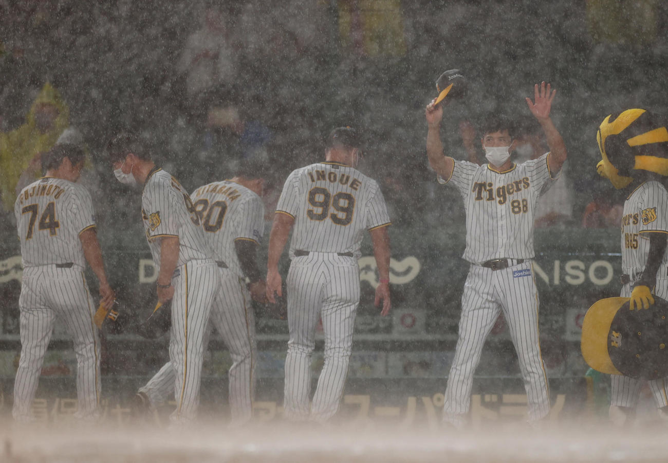 阪神対広島　6回裏雨天コールドで勝利し観客にあいさつする矢野監督（右端）ら阪神ナイン（撮影・前田充）