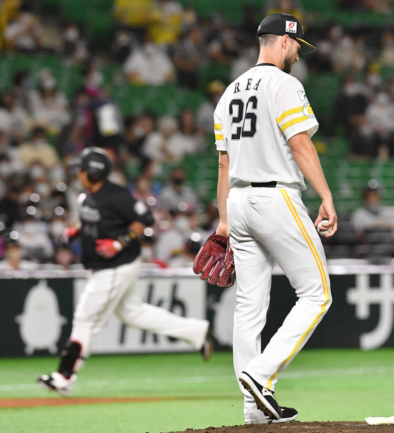 ソフトバンク対ロッテ　2回表ロッテ1死、井上（左）に先制の右越え本塁打を打たれたレイ（撮影・岩下翔太）