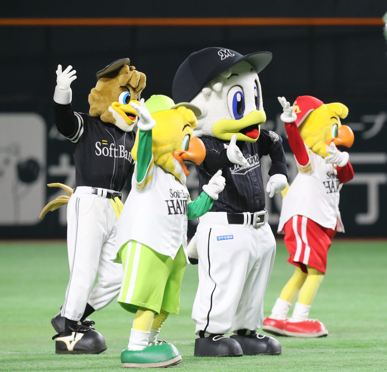 ソフトバンク対ロッテ　試合前にパフォーマンスをするホークファミリーとマーくん（撮影・屋方直哉）