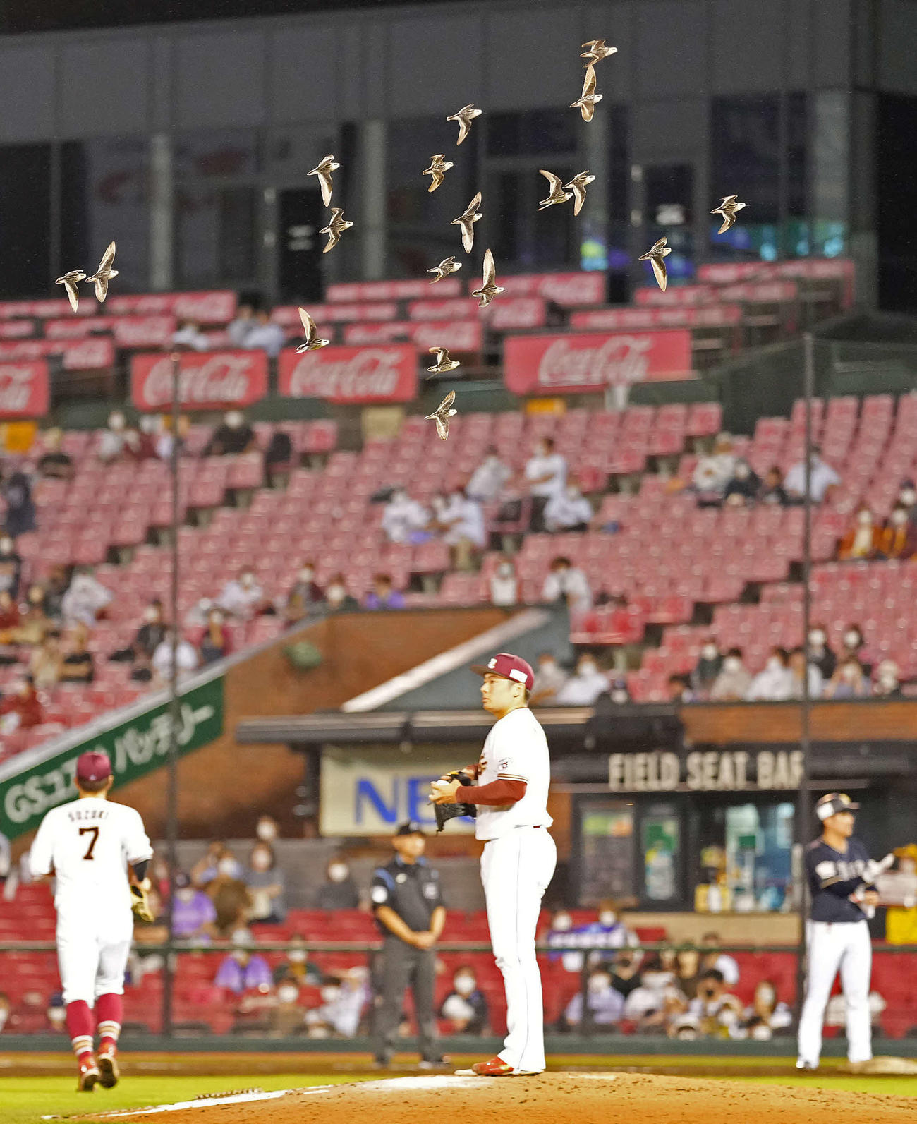 楽天対オリックス　9回表、楽天松井裕（中央）の頭上を群れをなして飛ぶ鳥（撮影・鈴木みどり）