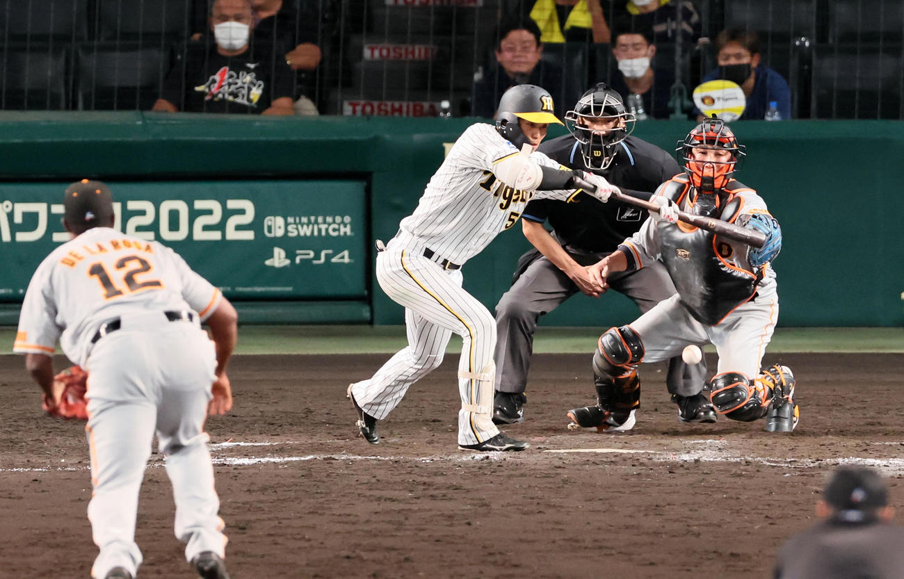 阪神対巨人　12回裏阪神無死一塁、島田は捕前犠打で走者進塁できず。投手はデラロサ（撮影・加藤哉）